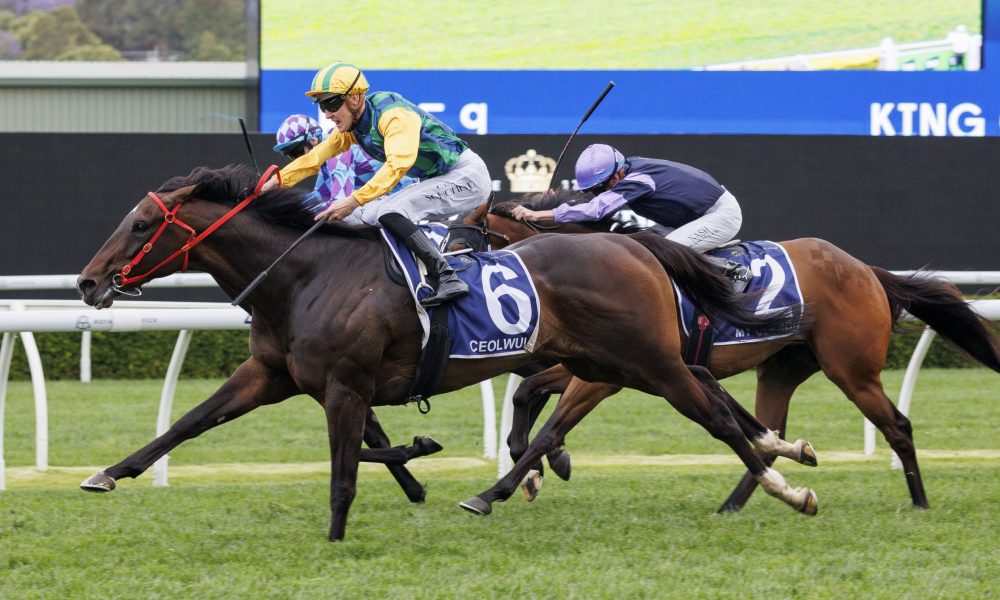 学习以下几 学习以下几