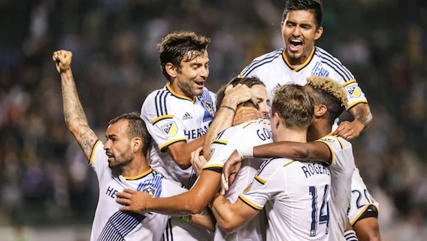 国关注的焦 国关注的焦