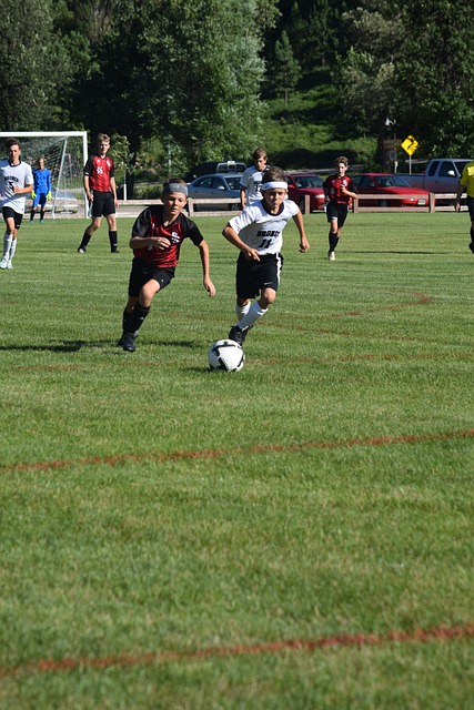 许多媒体在 许多媒体在