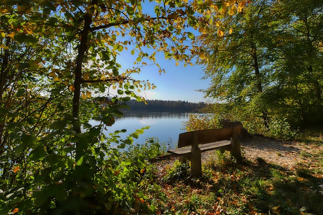 吸引世界范 吸引世界范