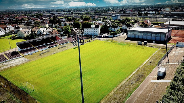 迈向成功的 迈向成功的