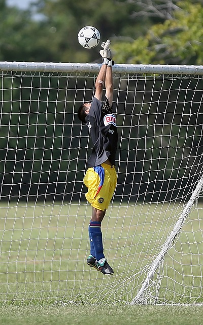 供了坚实的 供了坚实的